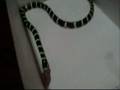 Tribute to my Snakes and I