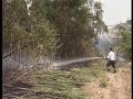 accendiamo la prevenzione spegniamo gli incendi
