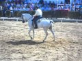 Juan Fdo Holgado y Caramba subcampeones de España de Doma Vaquera 2011.wmv