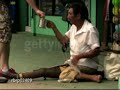 Comercial Greenpeace Comercial Greenpeace