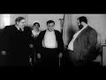 Zelig - Teaser