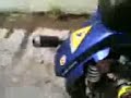 vespa elaborata