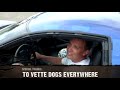 vette dogs: episode 9