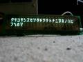 epson vfd noritake display