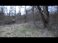 Jumping Clifford by strean