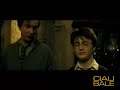herry potter doppiato in piemontese herry potter doppiato in piemontese