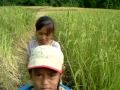 Children of Ban Na Village in Laos