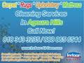 Carpet & Upholstery Cleaning in Agoura Hills CA