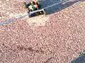 #- RC ANSMANN VIRUS -#