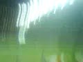 Golo Izmailov Live Sporting - Trofense
