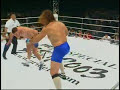 Giant Silva THE BEAR PUNCH