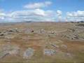Sur la route entre Omarama et Dunedin VII