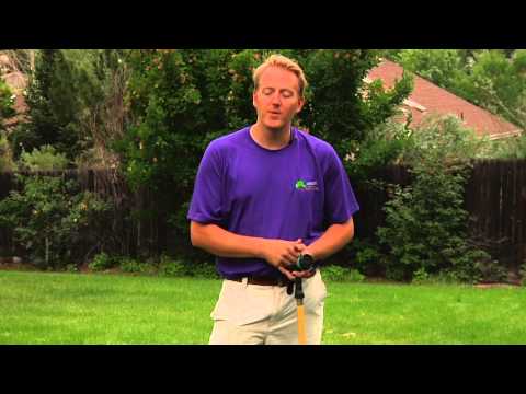 how to transplant grass sod