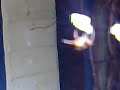Angry spider
