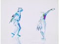 allopatric Speciation Experiment