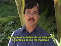 Parte IV, Otros temas: el Dr. Jorge Emmanuel, consultor ambiental e ingeniero químico, brinda una explicación sobre el funcionamiento y los problemas que conllevan las tecnologías de pirólisis, gasificación y plasma.