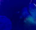 DJ Denian Glenn @ New Year\