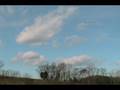 Farm Accident - Daylight