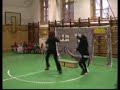 Moni-eger & macskak