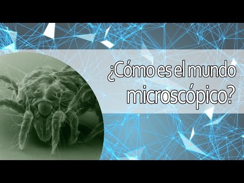 Imagen de previsualización de YouTube