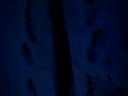 MOV01688.MP4 MOV01688.MP4