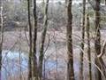 Walden Pond escape