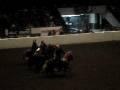 Equine Affaire's Pfizer Fantasia 2008 Part 12