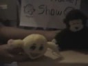 Webkinz Interview