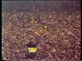 Borussia Dortmund - Celtic Glasgow 1/3UEFA CUP 87/88  BvB 09