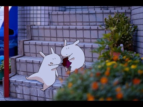 動画
