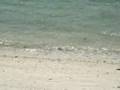 竹富島のアイアル浜 Taketomi Aiaru beach
