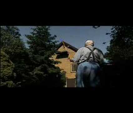 Racing pigeons in Denmark