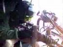 Misfit Gunning