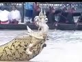 ?????????????????? Royal Barge 12June2006 part 3 ?????