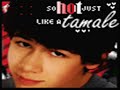 Jonas Brothers- What I go to School For