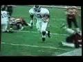Adrian Peterson The Run