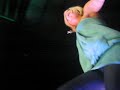 jason-alexander-kelly-pickler-taylor-swiftbrad-paisley.html