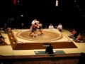 Sumo Fight!