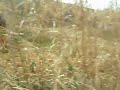 木津川でマッドプレイ　ｂｙケン坊さん　　ATC200