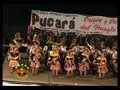 huaylarsh pucara 2007 picaflor   percyperuu