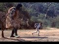 USA Movie 1970 || Equinox || Horror, Adventure, Mystery Movie USA Movie 1970 || Equinox || Horror, Adventure, Mystery Movie