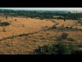 Serengeti | Deutscher Trailer #2