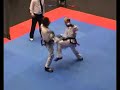 Taekwondo ITF Viking Open