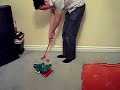 Gator Golf