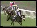 中京競馬場動画13