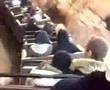 Tarantini di Taranto cozzari sulle giostre a EURODISNEY