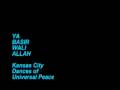 YA BASIR WALI ALLAH  (audio only)