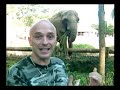 Passeio Animal - Elefante