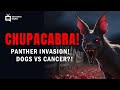 Animal X Classic Ep 202 PROMO