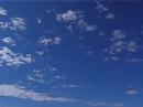 Crane in the Sky; Dog in the River